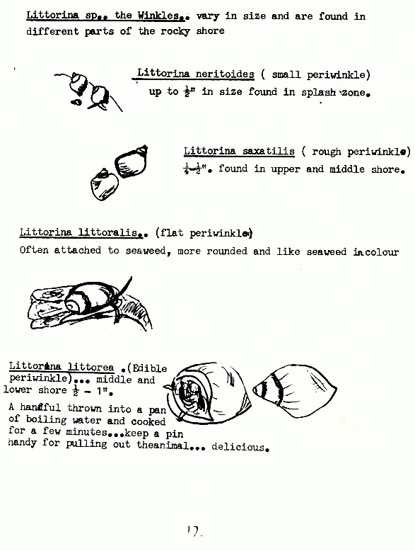 page scan