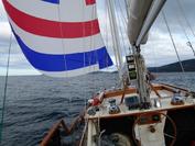 Photo of Club boat Minerva on spinnaker run to Mary Ann Bay.
