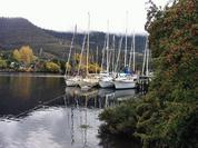 Photo of Club boats at New Norfolk.