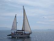 Photo of Club boat Puffin in Norfolk Bay.