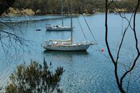 Photo of Quiet day in Quarantine Bay.